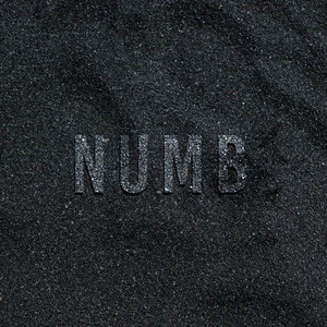 Divide Music - Numb (Cover Version)