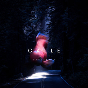 Calle by Raul Kyle