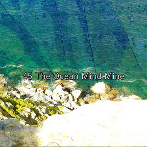 45 The Ocean Mind Mine album