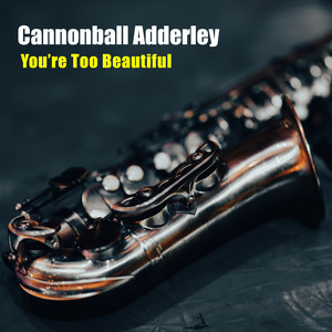 You're Too Beautiful
