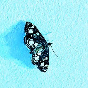 Call Us (Out-Takes And Alt Versions)