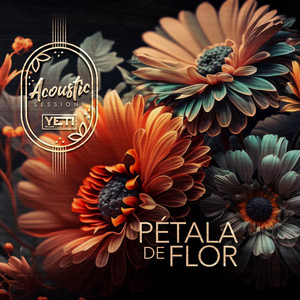 Pétala de Flor (Acoustic Sessions)