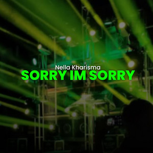 Sorry I'm Sorry - Remix by Nella Kharisma Remix, Pilar Music
