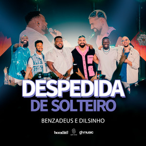 Despedida De Solteiro (Ao Vivo)