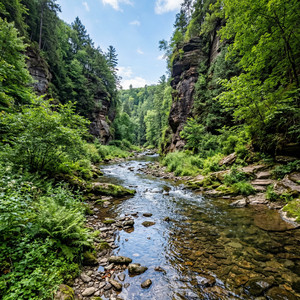 Freshwater Creek by Echo and I