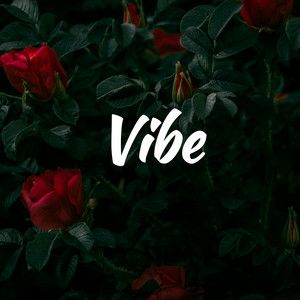Vibe by Aqib Ahmed