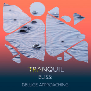 zZz Tranquil Bliss: Deluge Approaching the Marsh zZz album