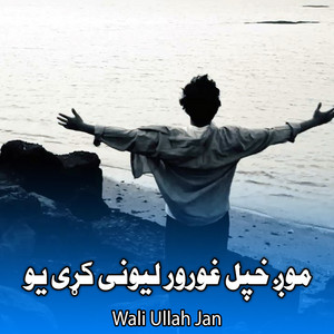 Noreez Malik - Da Zar Halonba Chata