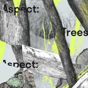 Canopy by VideoHelper, Florian Seraul