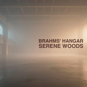 Brahms' Hangar by Serene Woods