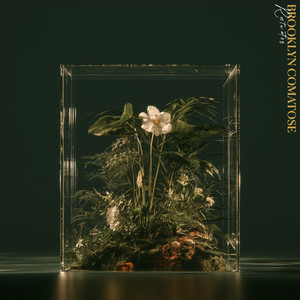 Rootwater by Brooklyn Comatose