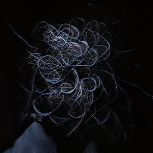 Bloodletting A Phantom Limb by Neck of the Woods