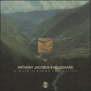 A Walk Through The Valley by Anthony Jacobus, Højsgaard