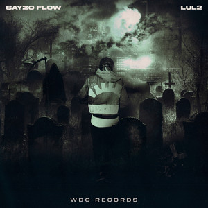 Lul2 — SAYZO FLOW (2026)