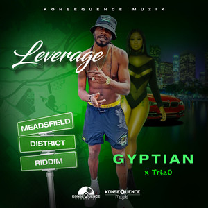 Portada de Leverage