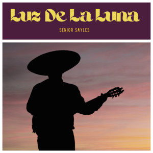 Luz De La Luna by Senior Smyles