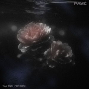 Taking Control by PAVÉ