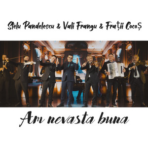 Stelu Pandelescu, Vali Frangu & Fratii Cocos - Am nevasta buna