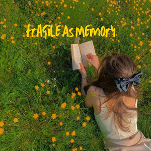 South - Fragile As Memory