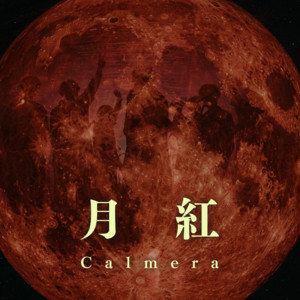 GEKKO by Calmera
