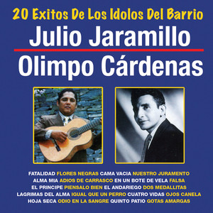 20 Exitos De Los Idolos Del Barrio album