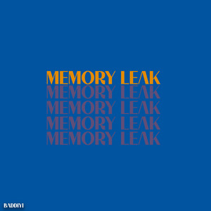 Memory Leak by baddiyi