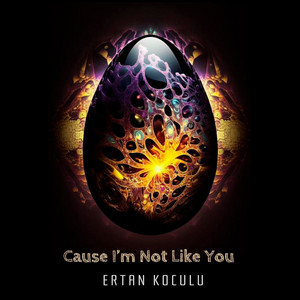Ertan Koculu cover