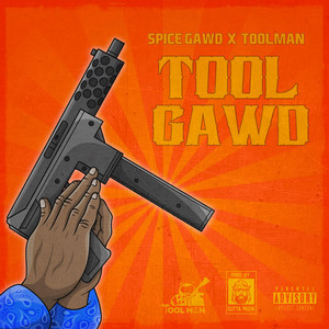 Portada de TOOLGAWD