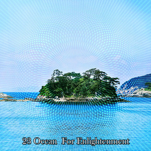 !!!! 23 Ocean For Enlightenment !!!! album