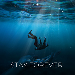 Feel The Muzik Official - Stay Forever Chillout