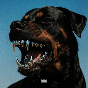 rottweilers by Jules