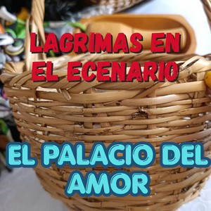 LAGRIMAS EN EL ECENARIO by EL PALACIO DEL AMOR