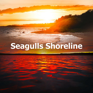 Seagulls Shoreline album