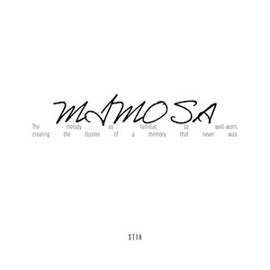 Mimosa by Natia Sartania, sTia