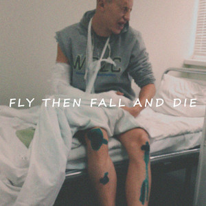 Fly Then Fall and Die
