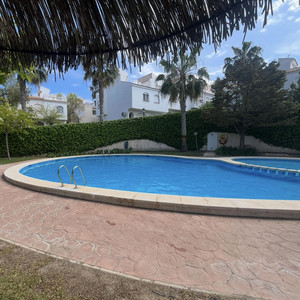 DamnedFlies - silver lining