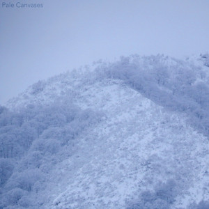 Pale Canvases by Shirakawa, Leo Abrahams