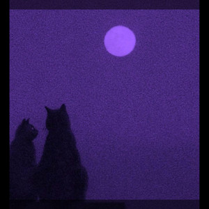 someone by D.O.S.E sound