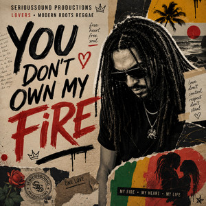 You Dont Own My Fire by Serioussound