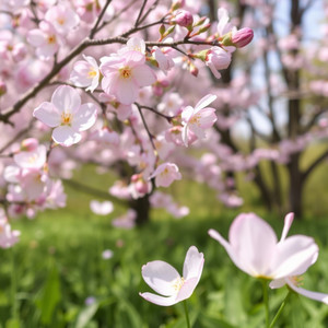 Lunéria Salviano - A Estrada Pode Dobrar
