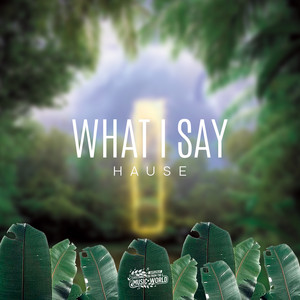 What I Say by Disconnection From The Music