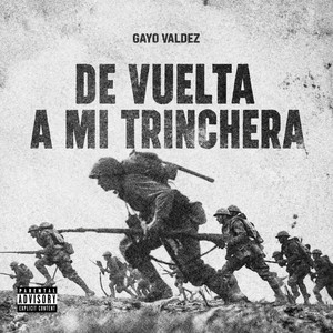 De Vuelta a Mi Trinchera by Gayo Valdez