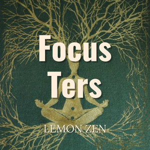 Focus Ters by LEMON ZEN