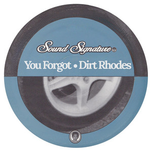 You Forgot by Theo Parrish cover art