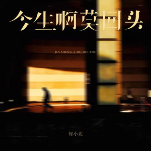 今生啊莫回头