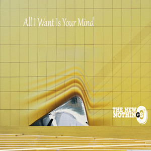 All I Want Is Your Mind by The New Nothings