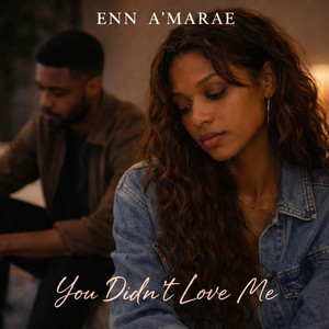 Enn Amarae - You Didn't Love Me