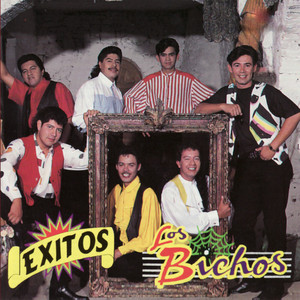 Los Bichos poster