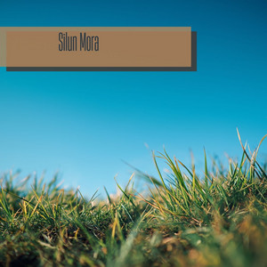It Slips Into Place by Silun Mora