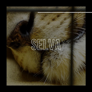 SELVA by ANQO